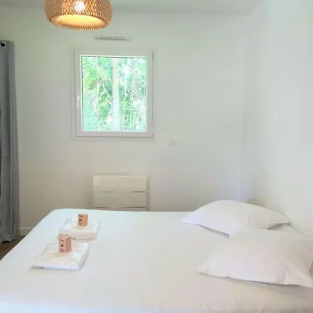 Piscine - Maison Moderne - Route Des Plages